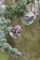 Frozen hearts made with Pine foliage, Eucalyptus, Ilex verticillata berries and water