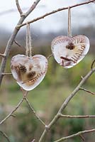 Frozen hearts made with Larch cones and Fern foliage, hanging on a branch