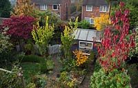Small back garden with a variety of small trees grown for thier autumn colour at High Meadow Gardens Staffordshire England 