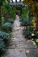 Pathway under pergola in Autumn. 
Hestercombe Gardens, Somerset
