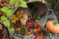 Arrangement in stainless steel basin containing lit candles, Malus, Pumpkins, Sunflower seedheads and autumnal leaves