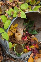 Arrangement in stainless steel basin containing lit candles, Malus, Sunflower seedheads and autumnal leaves