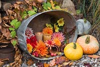 Arrangement in stainless steel basin containing lit candles, Malus, Pumpkins and a variety of cut Dahlias