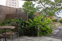 View of a rooftop garden showing timber panelled privacy screens and matching seating and chairs. Epiphyllum chrysocardium 'Golden Heart' fern and aspidistra grows in a raised bed.
