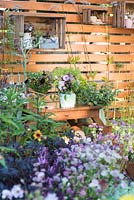 Wooden fence with shelves, work table with bouquets in pots and containers surrounded by summer flowers including Euphorbia schillingii and Valeriana officinalis. Katie's Lymphoedema Fund: Katie's Garden. Designers: Carolyn Dunster, Noemi Mercurelli, RHS Hampton Court Palace Flower Show 2016 