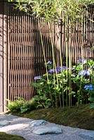 Phyllostachys bissetii next to knitted Bamboo fence. Japanese Summer Garden. Designed by Saori Imoto. Sponsored by Unique Japan Tours