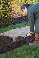 Digging a trench for planting a row of Cherry Laurel