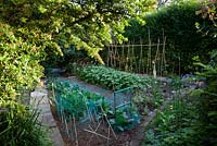 A kitchen garden planted with  cabbages, peas and potatoes. 
