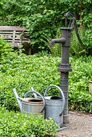 Watering pump with tin watering cans next to   Dryopteris