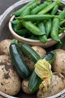 Collection of home grown early summer crops -  potatoes, courgettes and garden peas.