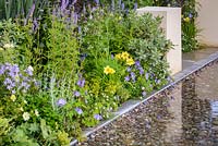 Mixed planting edging a rectangular shallow pool with pebbles in The Dog's Trust: 'It's a Dog's Life', Hampton Court Flower Show, July 2016