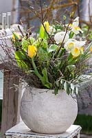 Arrangement of spring flowers in a white clay pot, Ranunculus asiaticus, Tulipa, Viburnum opulus 'Sterile'