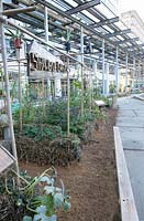 Overview of the strawbale garden. Strawbale sign made of wood. Bamboo sticks as pergola.