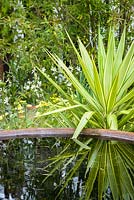 Corten steel water feature creates a focal point surrounded by variegated yuccas, Great Gardens of the USA: The Austin Garden, RHS Hampton Court Flower Show in 2016. Designer: Sadie May Stowell - Sponsor: Brand USA