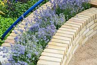 Blue curving handrails above brickbenches with Lavandula 'Hidcote'. The Abbeyfield Society: a Breath of Fresh Air, RHS Hampton Court Palace Flower Show 2016. Design: Rae Wilkinson