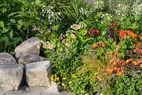 Alstroemeria ''Bonanza', Flaming Star' and 'Inca Ice' in The Inca Garden, Hampton Court Flower Show in 2016. Designer Jennifer Jones