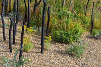 Black Stained Branches and Drought Tolerant Planting in Gravel. Striving for Survival, RHS Hampton Court Palace Flower Show 2016. Design: Holly Fleming