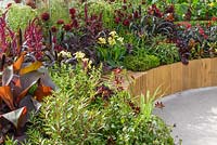 Wooden sculpted bench over wide sunken curving pathway with Amaranthus 'Red Army',  purple-leaved cannas and dahlias. Witan Investment Trust Global Growth Garden, RHS Hampton Court Flower Show 2016