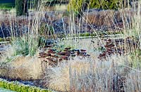 Herbaceous perennial and ornamenal grasses in the Italian gardens Trentham Staffordshire in January