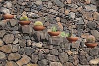 Lava stone walls and steps with terracotta pots of cacti - El Jardin de Cactus, Lanzarote, Canary Islands   