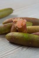 Citrus australasica, Australian finger lime, whole and cut fruit showing the pale pink beads of the flesh.