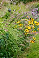 In the contemporary garden, perennials such as Rudbeckias and Verbena bonariensis are interspaced with clumps of fountain grass Pennisetum alopecuroides 'Japonicum' in les Jardins de la Poterie Hillen