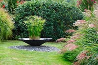 A clump of Cyperus papyrus is planted in a lotus leaf-shaped basin with Miscanthus in the foreground and privet in the background in les Jardins de la Poterie Hillen.