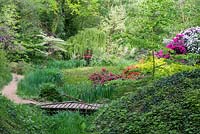 View of the Chinese area of the Rhododendron Park with a pond and a wooden bridge. Planting includes ivy, Cornus controversa 'Variegata', Rhododendron 'Scarlet Wonder' and Berberis thunbergii 'Aurea'.