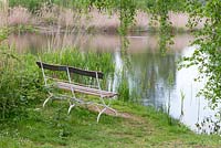 Elegant metal and wooden bench looks out from a quiet spot under birch trees across the water.