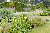 A yew hedge provides a backdrop to two large herbaceous borders at Bluebell Cottage Gardens, Cheshire.  Plants including: Phlomis russeliana, Lychnis coronaria, Agastache, Geraniums and Stipa