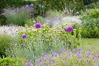 A section of a herbaceous border featuring contemporary metal garden ornaments at Bluebell Cottage Gardens, Cheshire. Plants include ornamental grasses, Phlomis russeliana, California poppy, Lychnis coronaria, Papaver somniferum, Alliums and Geraniums
