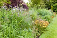 A long herbaceous border featuring plants such as Hemerocallis 'Corky', Foeniculum vulgare 'Purpureum', Lychnis chalcedonica and Campanula lactifolia at Bluebell Cottage Gardens, Cheshire