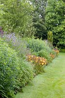 A long herbaceous border featuring plants such as Hemerocallis 'Corky', Foeniculum vulgare 'Purpureum' and Campanula lactifolia at Bluebell Cottage Gardens, Cheshire