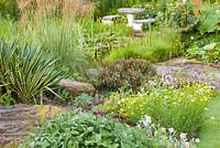 Planting next to a pond area at Bluebell Cottage Gardens, Cheshire. The border features plants such as Strobilanthes attenuata, Yucca gloriosa 'Variegata', Stipa gigantea and Anthemis tinctoria 'E.C. Buxton'