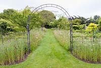 A wrought iron archway spans a mown path through an orchard planted with wildflowers including corn cockles, poppies, Leucanthemum vulgare - ox-eye daisies and clover, at Bluebell Cottage Gardens, Cheshire