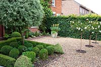 Small parterre of buxus balls and weeping pear Pyrus salicifolia 'Pendula' on gravel entrance, with standard roses