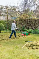 Woman using electric lawn scarifier to remove moss and thatch from lawn in spring