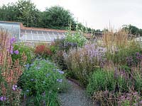 Vibrant summer herbaceous planting in the walled garden along the gravel path with views to the historic restored greenhouses.