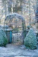 Cone-shaped box topiary by arched gateway