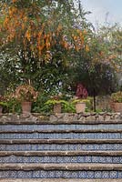 Stone steps with inset tiles and Duranta Erecta with purple flowers and orange berries at the same time - Skyflower - Lake Atitlan Hotel, Guatemala