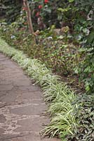 Carex oshimensis 'Evergold' edged stone and pebble path between borders - Lake Atitlan Hotel, Guatemala
