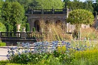 Eryngiums provide summer colour in the Italian Garden at Trentham Gardens, Staffordshire - designed by Tom Stuart-Smith