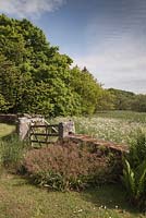 A view from the front of Herterton House across the meadow opposite with Filipendula ulmaria and Luzula sylvatica - June, Herterton House, Hartington, Northumberland, UK 