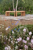 Curved wooden benches in front of native hedging contemporary meadow style garden - Nature and Nurture at RHS Tatton Park Flower Show 2016