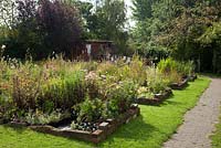 Plants for sale at Norwell Nurseries Nottinghamshire