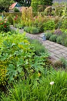 Vegetable and herb garden in summer. Planting includes Courgette 'Striato d'Italia', Tagetes tenuifolia Lemon Gem and chives. On the other side of the path are dahlias, lavandula and vegetables. Design: Dineke Logtenberg