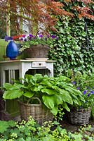 Floral arrangements of wicker baskets planted with Hosta and Viola and old table. Branches of Acer palmatum var. dissectum - japanese maple. Design: Dina Deferme