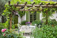 Pergola covered with grapes and Wisteria with hanging wasp traps. Design: Dina Deferme