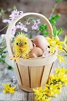 Easter chick made from teasel and cloves in wooden basket