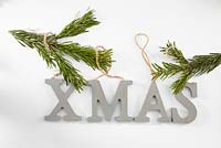 Winter collage - Xmas sign with conifer foliage